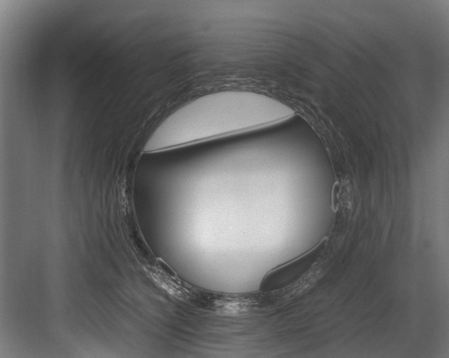 X0000083620564200702120752