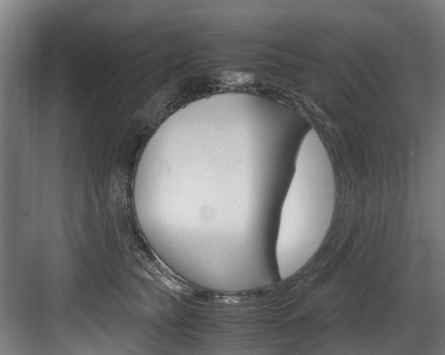 X0000083620565200702120752