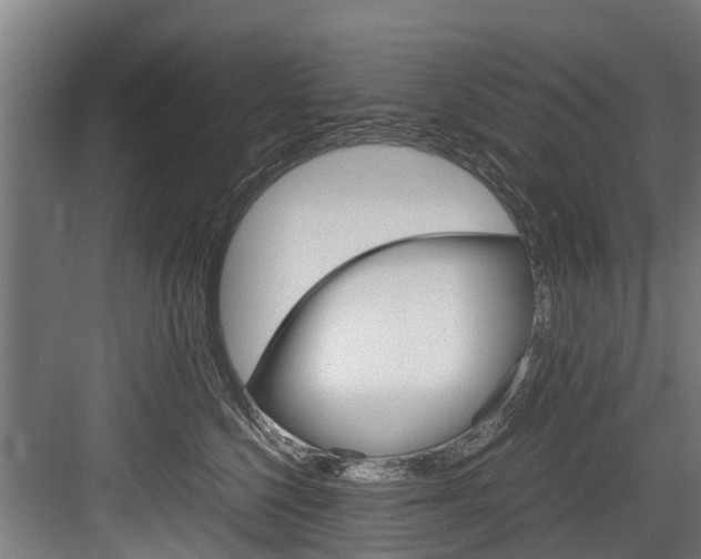 X0000083620568200702120752