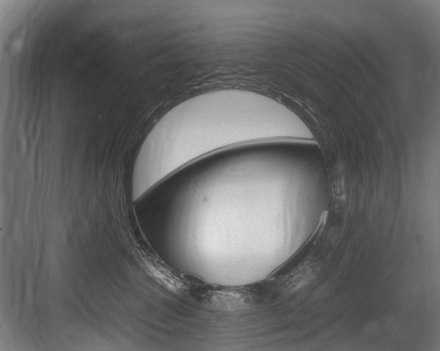 X0000083620572200702120752