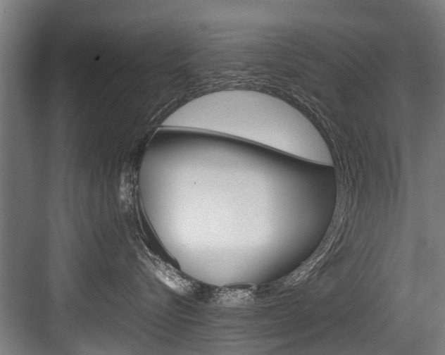 X0000083620576200702120752