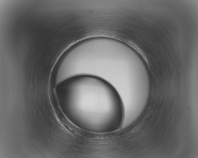 X0000083620580200702120752