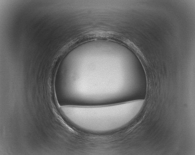 X0000083620581200702120752