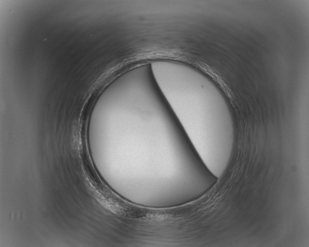 X0000083620582200702120752
