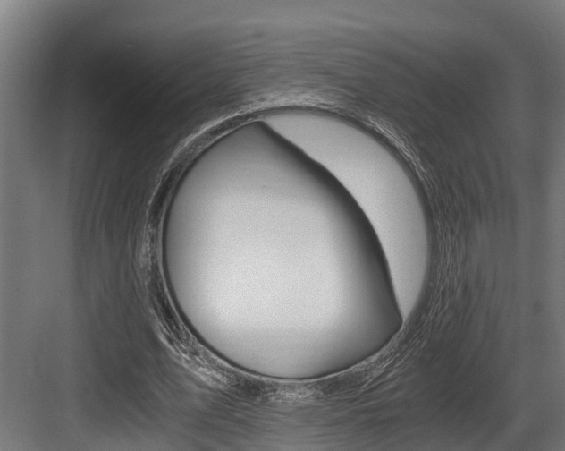 X0000083620583200702120752
