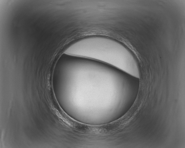 X0000083620585200702120751