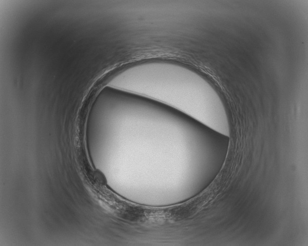 X0000083620587200702120751