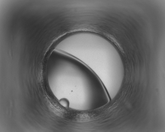 X0000083620588200702120751