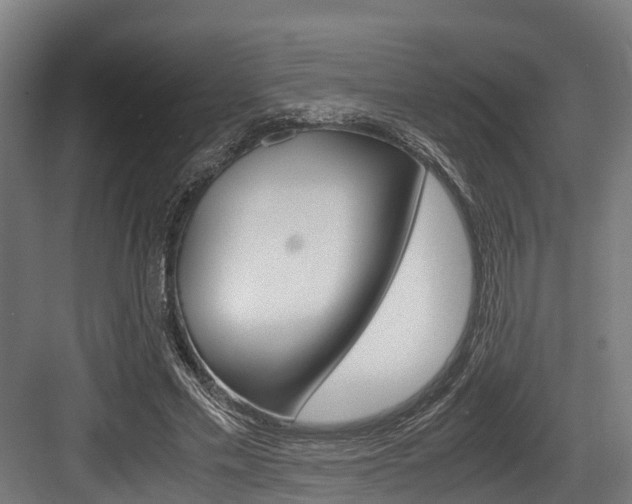 X0000083620589200702120751