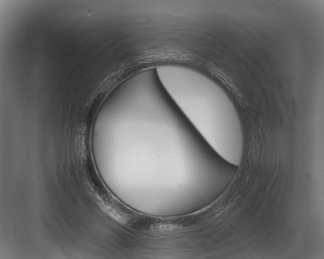 X0000083620590200702120751