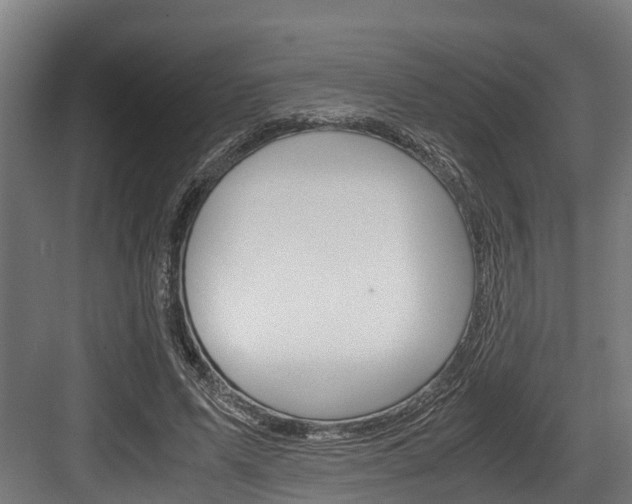 X0000083620591200702120751