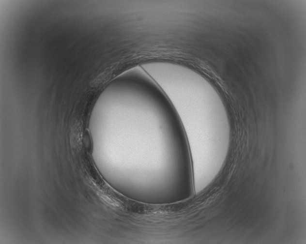 X0000083620593200702120751