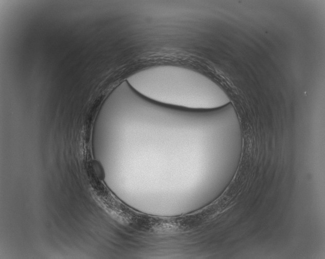 X0000083620594200702120751