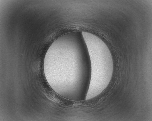 X0000083620595200702120751
