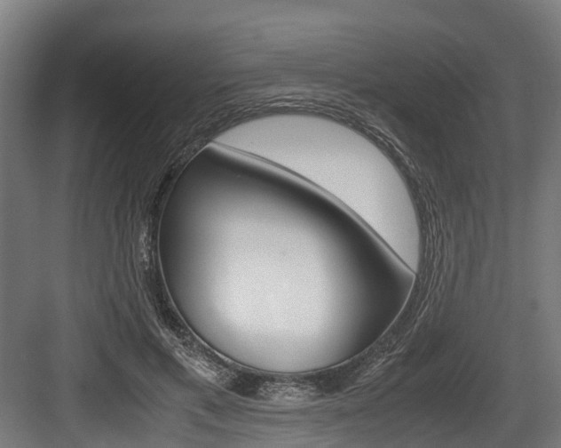 X0000083620597200702120751