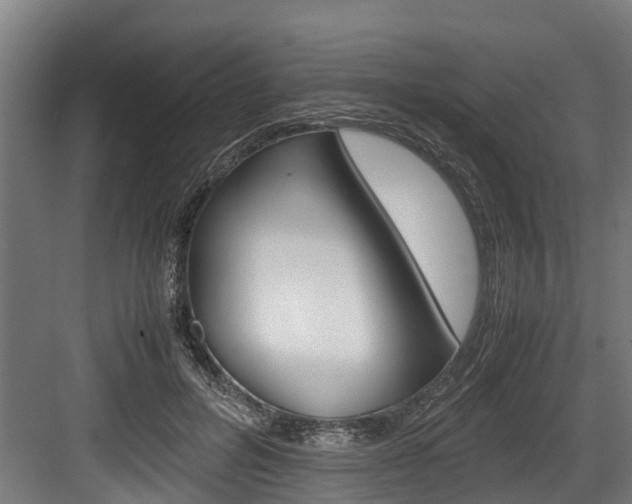X0000083620600200702120751