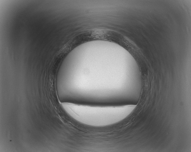 X0000083620603200702120751