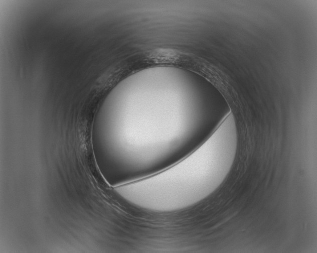 X0000083620604200702120751