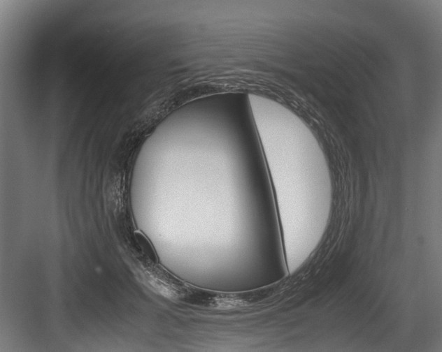 X0000083620605200702120751