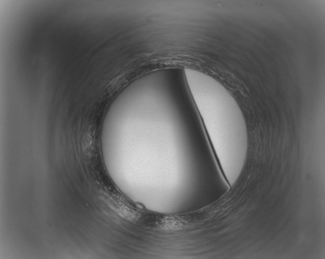X0000083620608200702120751