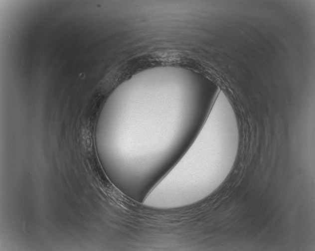 X0000083620609200702120751