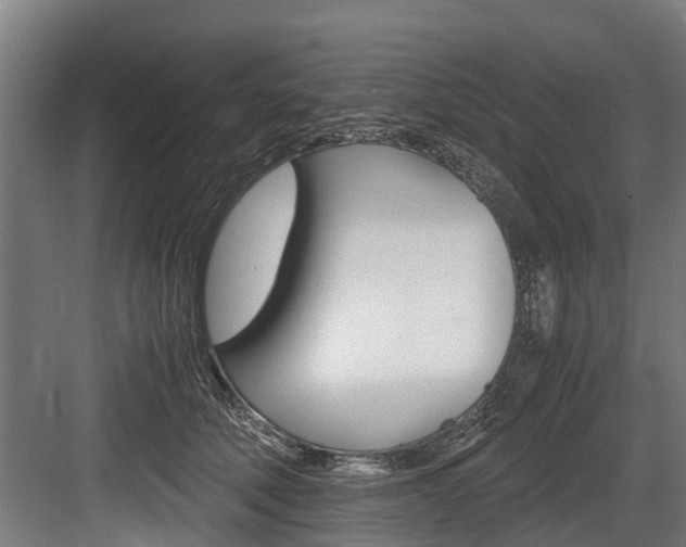 X0000083620610200702120751