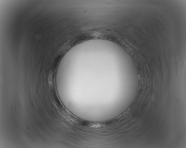 X0000083620611200702120751