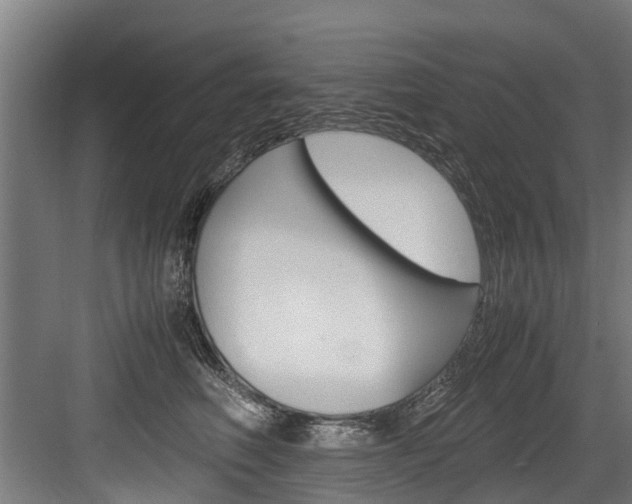 X0000083620614200702120751