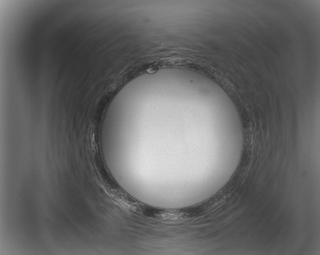 X0000083620615200702120751