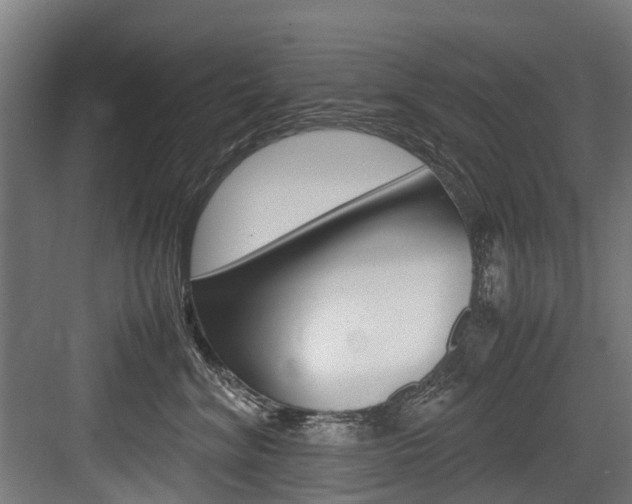 X0000083620620200702120751