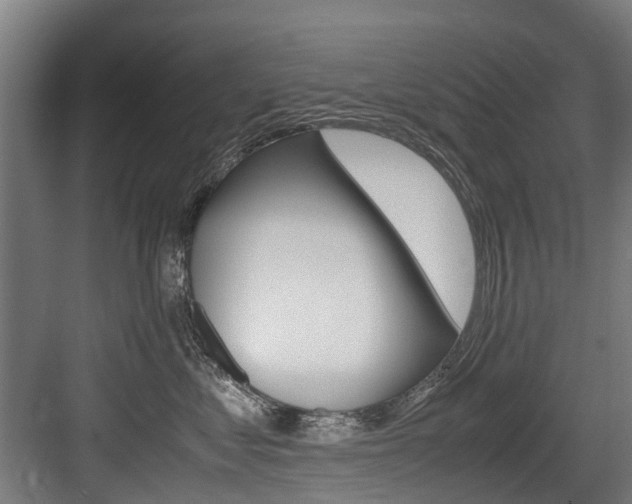 X0000083620621200702120751
