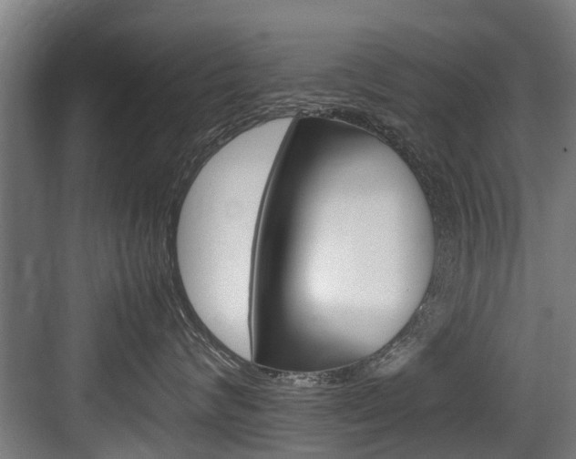 X0000083620624200702120751