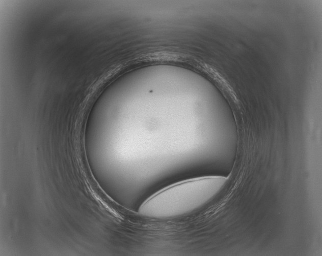X0000083620625200702120750