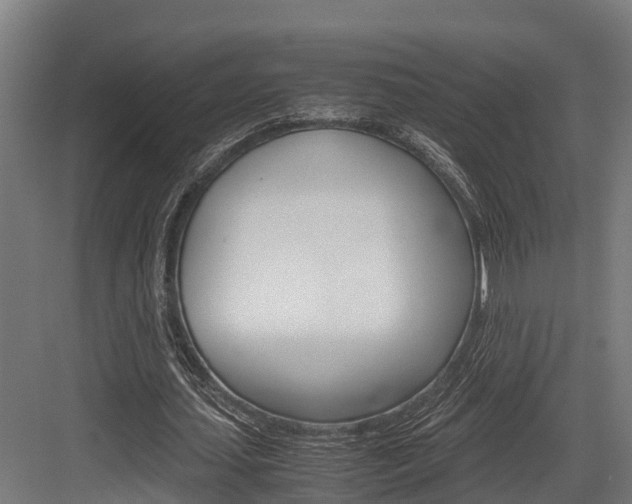 X0000083620627200702120750