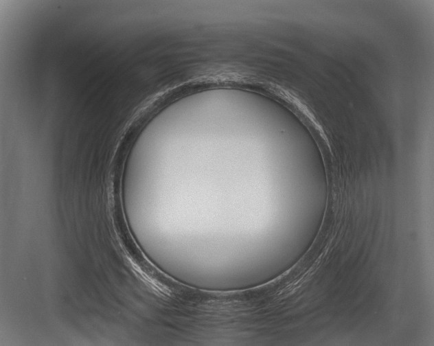 X0000083620629200702120750