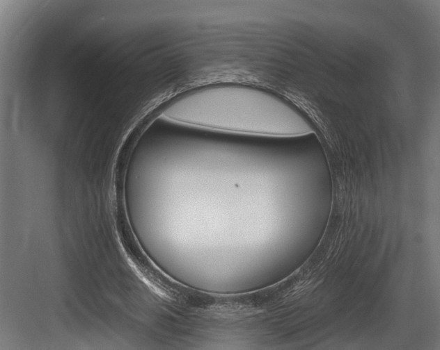 X0000083620630200702120750