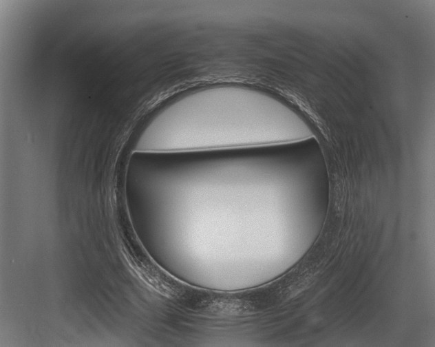 X0000083620631200702120750