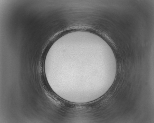 X0000083620632200702120750