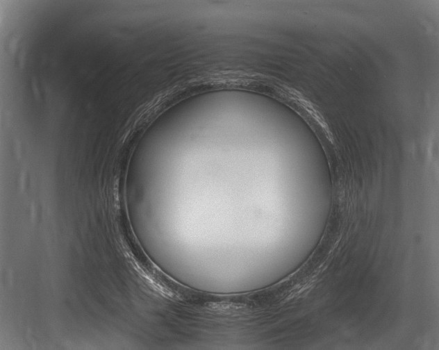 X0000083620633200702120750