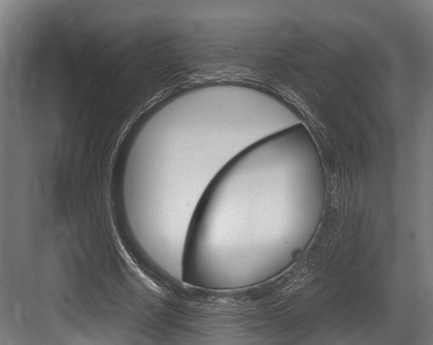 X0000083620634200702120750