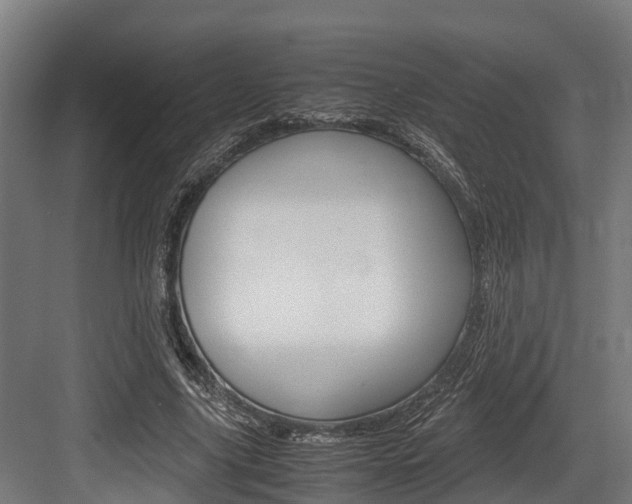 X0000083620635200702120750