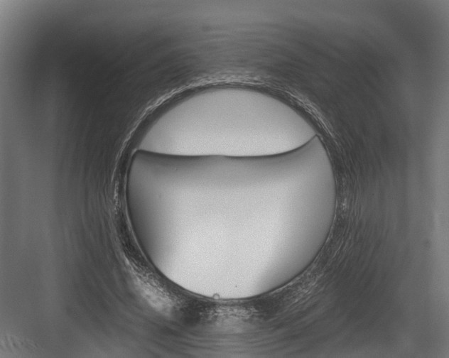 X0000083620636200702120750