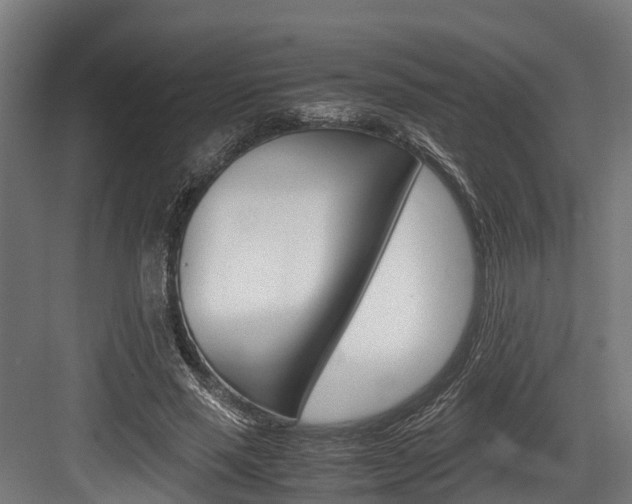 X0000083620637200702120750