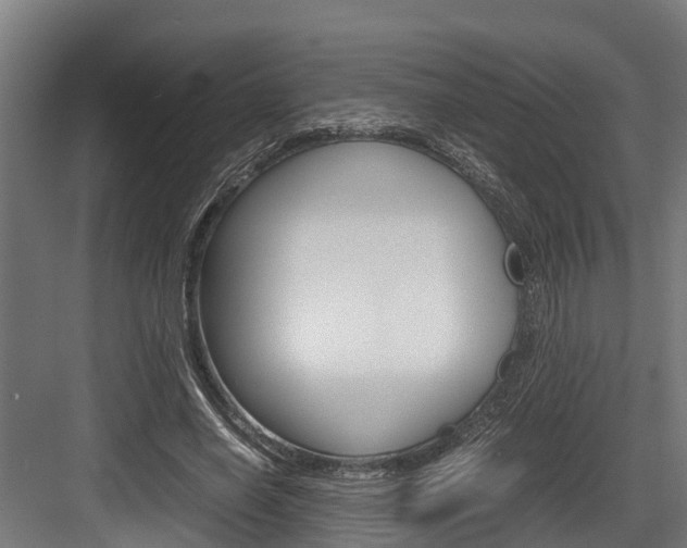 X0000083620638200702120750