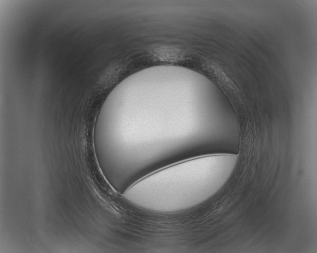X0000083620639200702120750