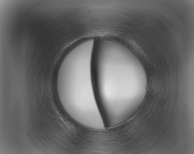 X0000083620640200702120750