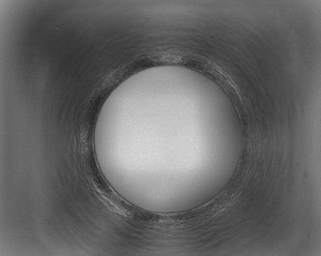 X0000083620641200702120750
