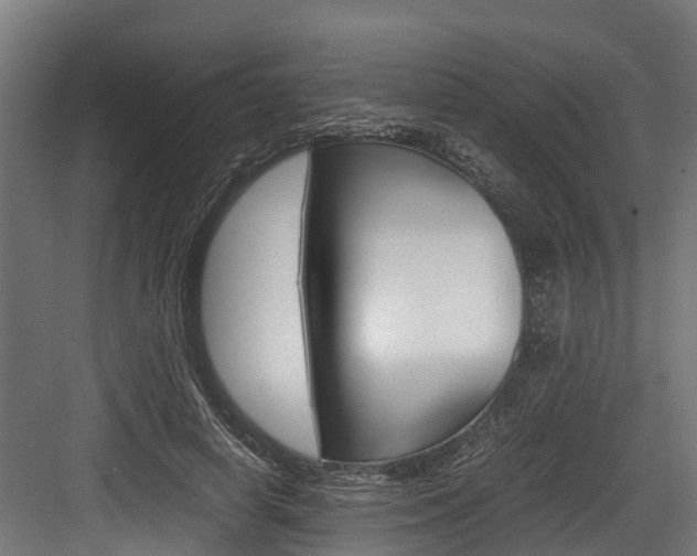 X0000083620642200702120750