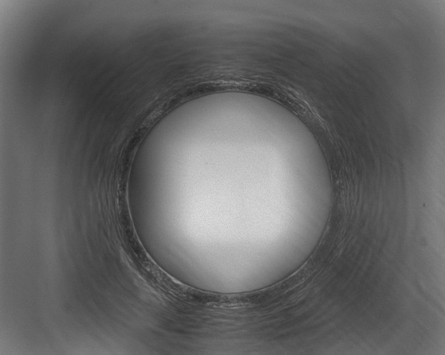X0000083620643200702120750