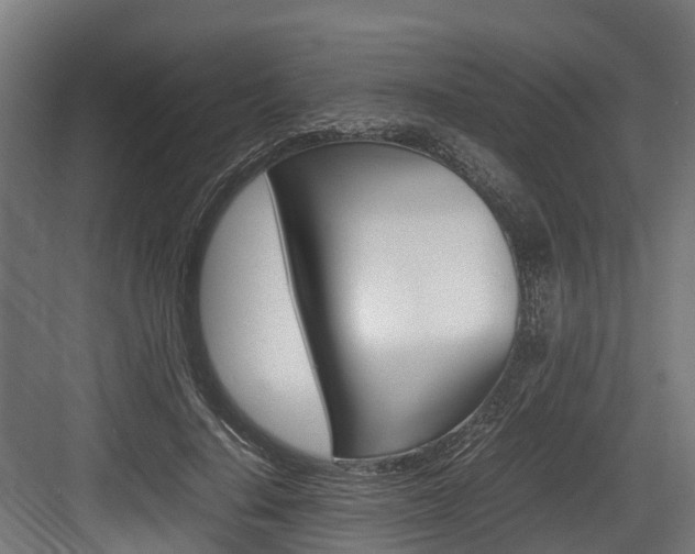 X0000083620644200702120750